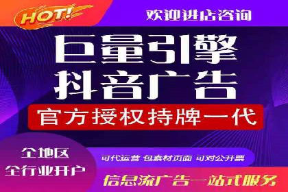案例分析：短视频平台信息流广告效果评估